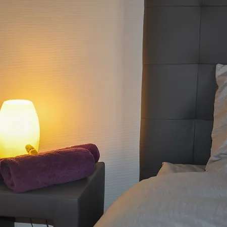 Le Felix Grat - Lavaloc Guest house Laval (Mayenne)